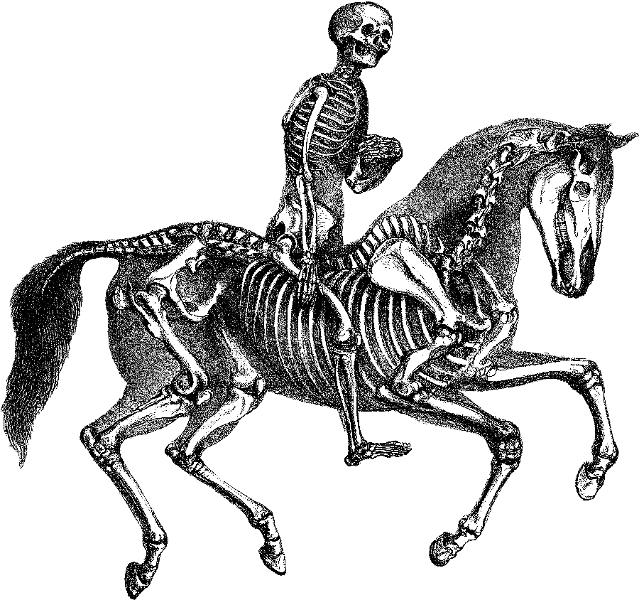 Workhorse